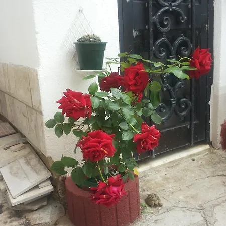 Stari Grad